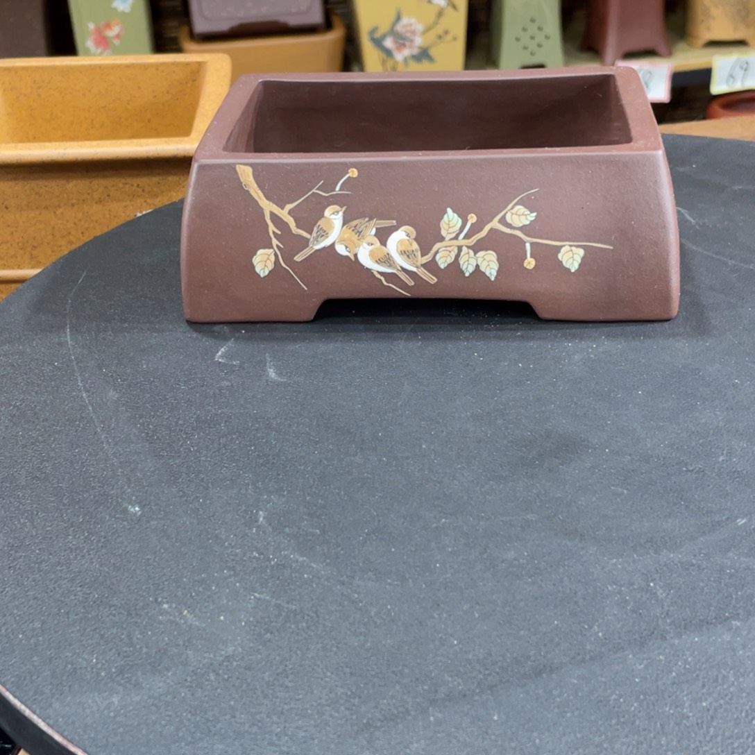 7***4紫砂花盆我也想要