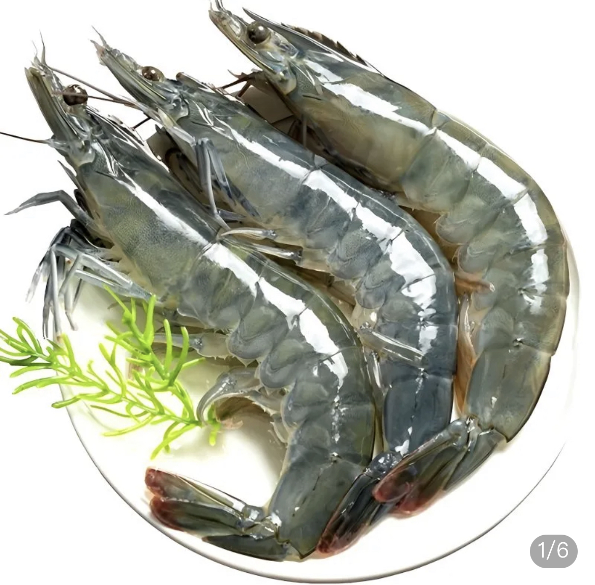 20/30海水大虾新鲜速冻年货活动 顺丰包邮