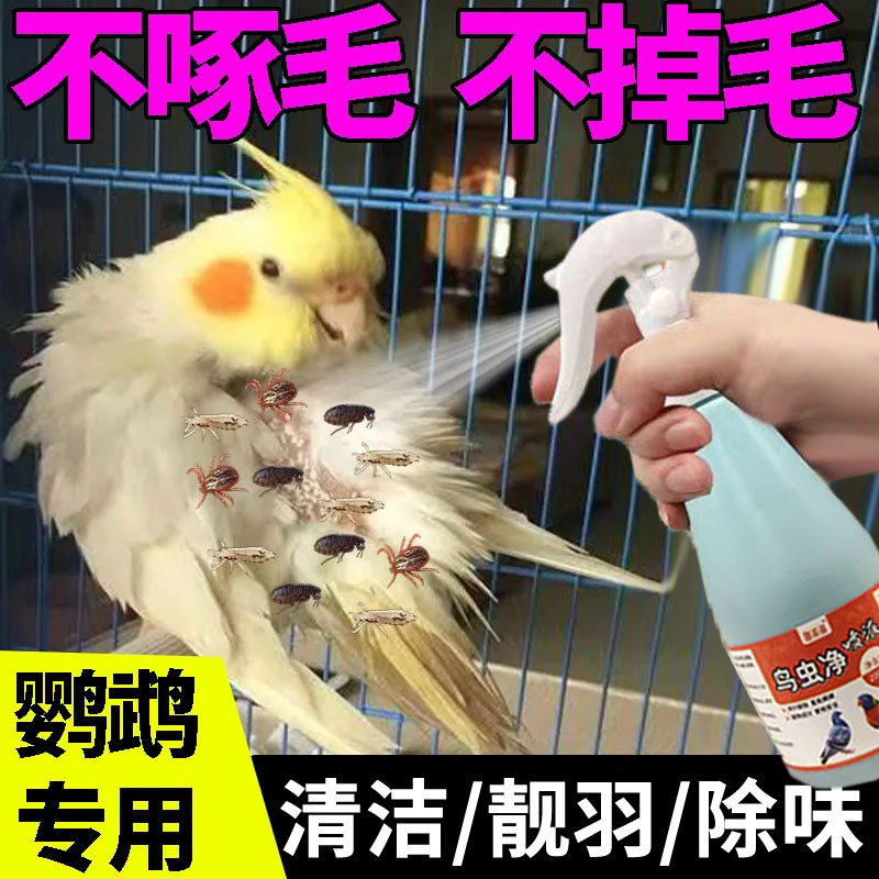 鹦鹉体外驱虫喷雾玄凤鹦鹉啄毛除虱子螨虫跳蚤清洁止痒除臭驱虫