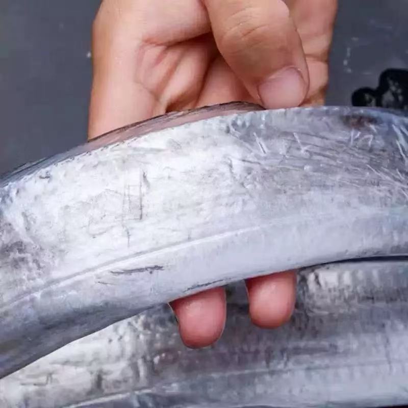 新鲜海钓野生带鱼 半斤/条 到手5斤 无冰整条发货  冷链包邮