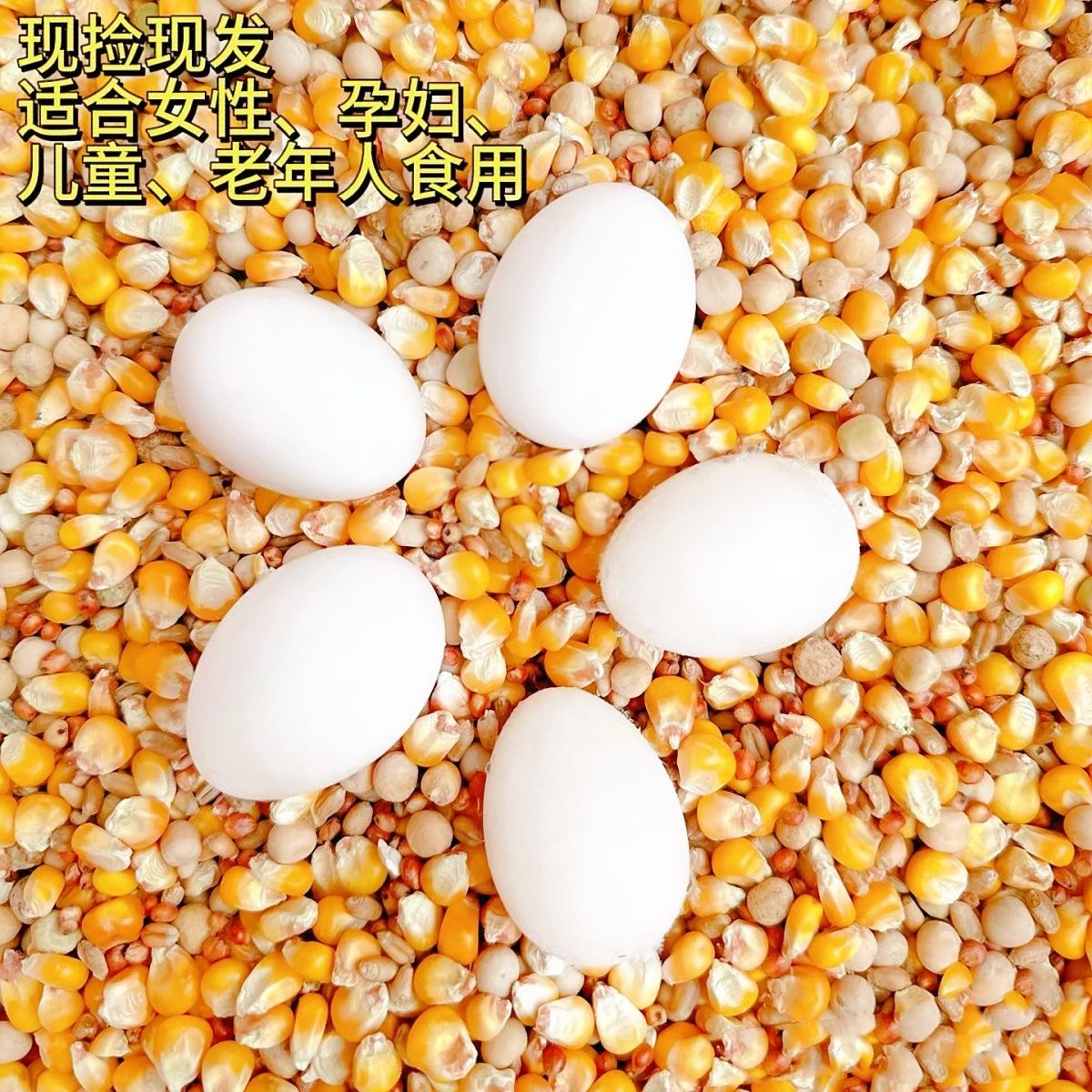 【九鸽】沂蒙山鸽子蛋60枚农家杂粮喂养新鲜营养老人孕妈宝宝辅食
