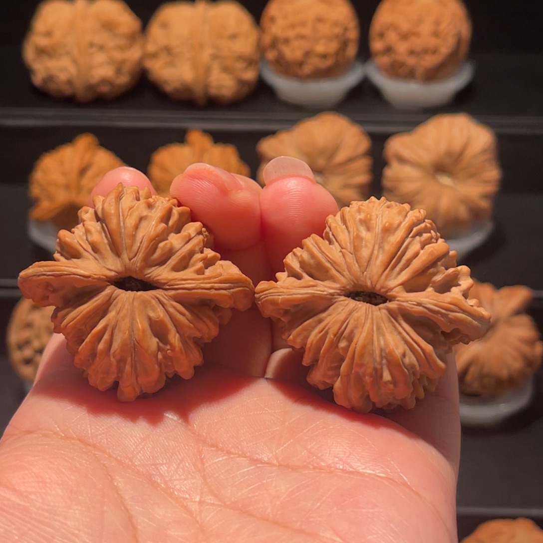 全品，精品，41平谷四座楼218