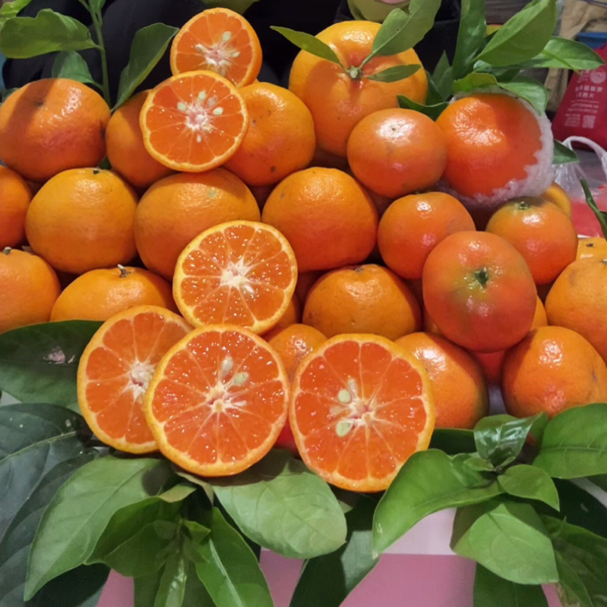 云南橘子新鲜采摘应季水果鲜甜多汁手剥柑橘