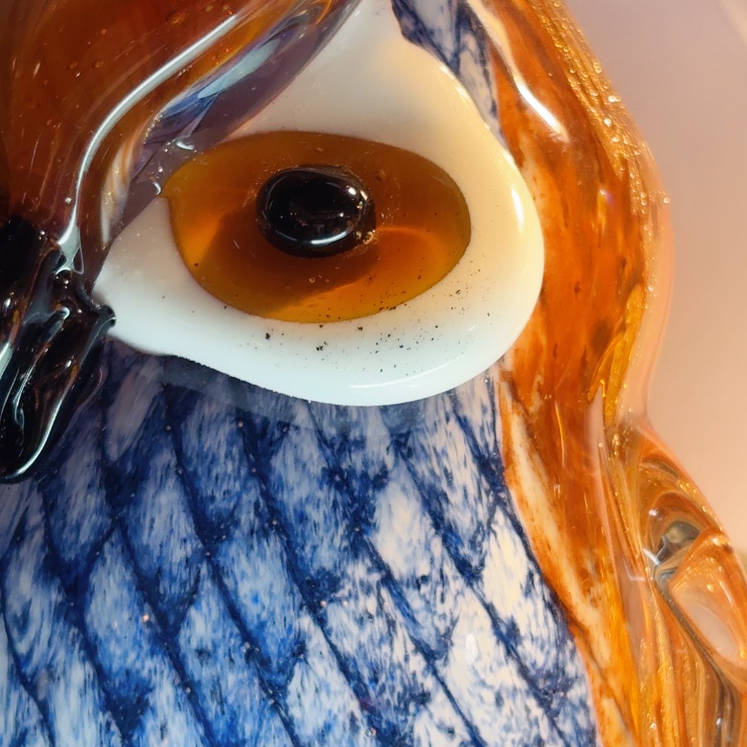 茶宠琉璃岛上有个叫小