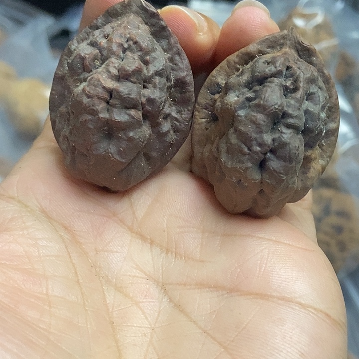 把件文玩核桃云南铁核桃基地30