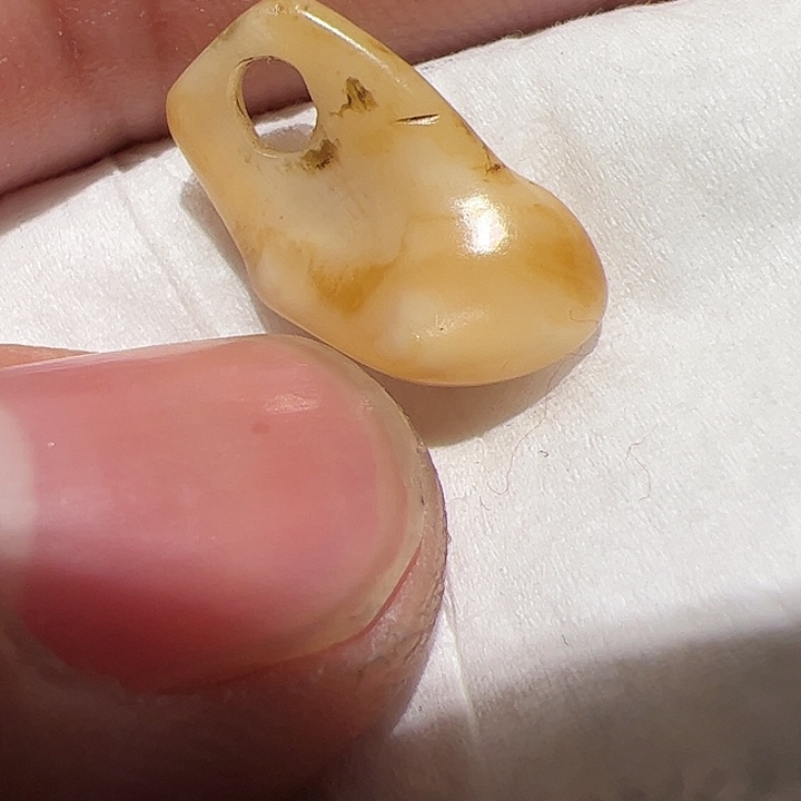 香榧木你的人是不是