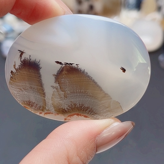 未镶嵌玛瑙/玉髓珠宝奇石