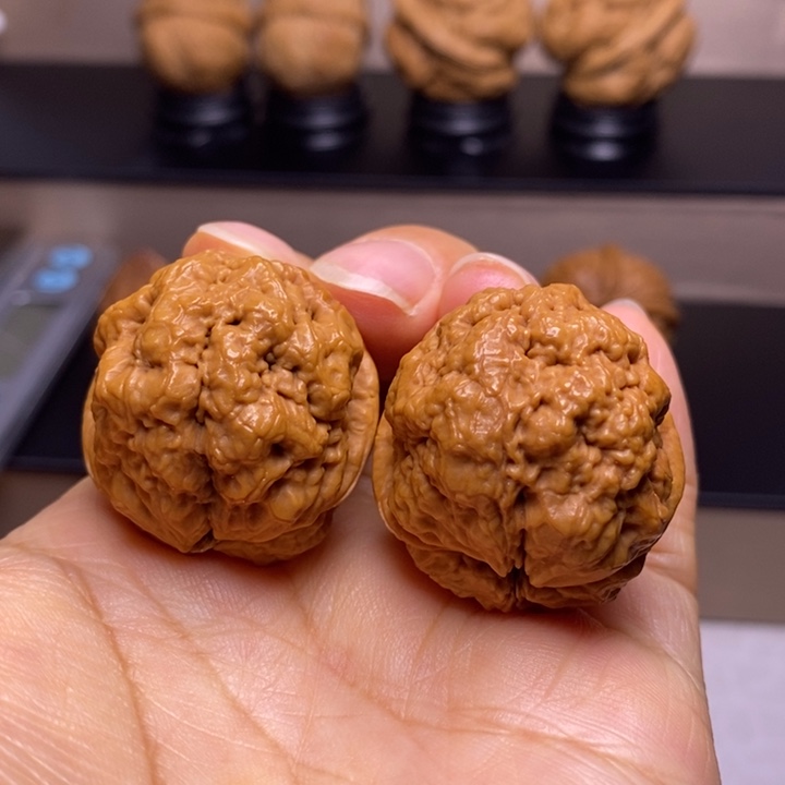 文玩核桃把件血舍利36