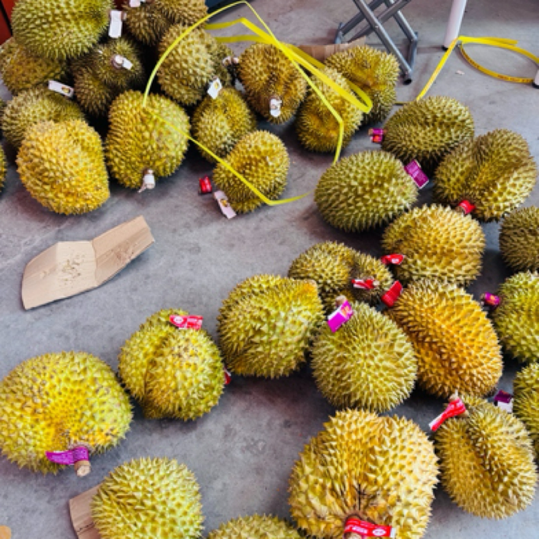 【手挑金枕】泰国金枕榴莲手挑A7果鲜果整颗