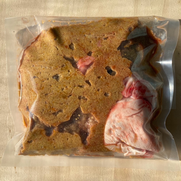 松花江冬捕鱼开江鱼鱼籽鲤鱼籽