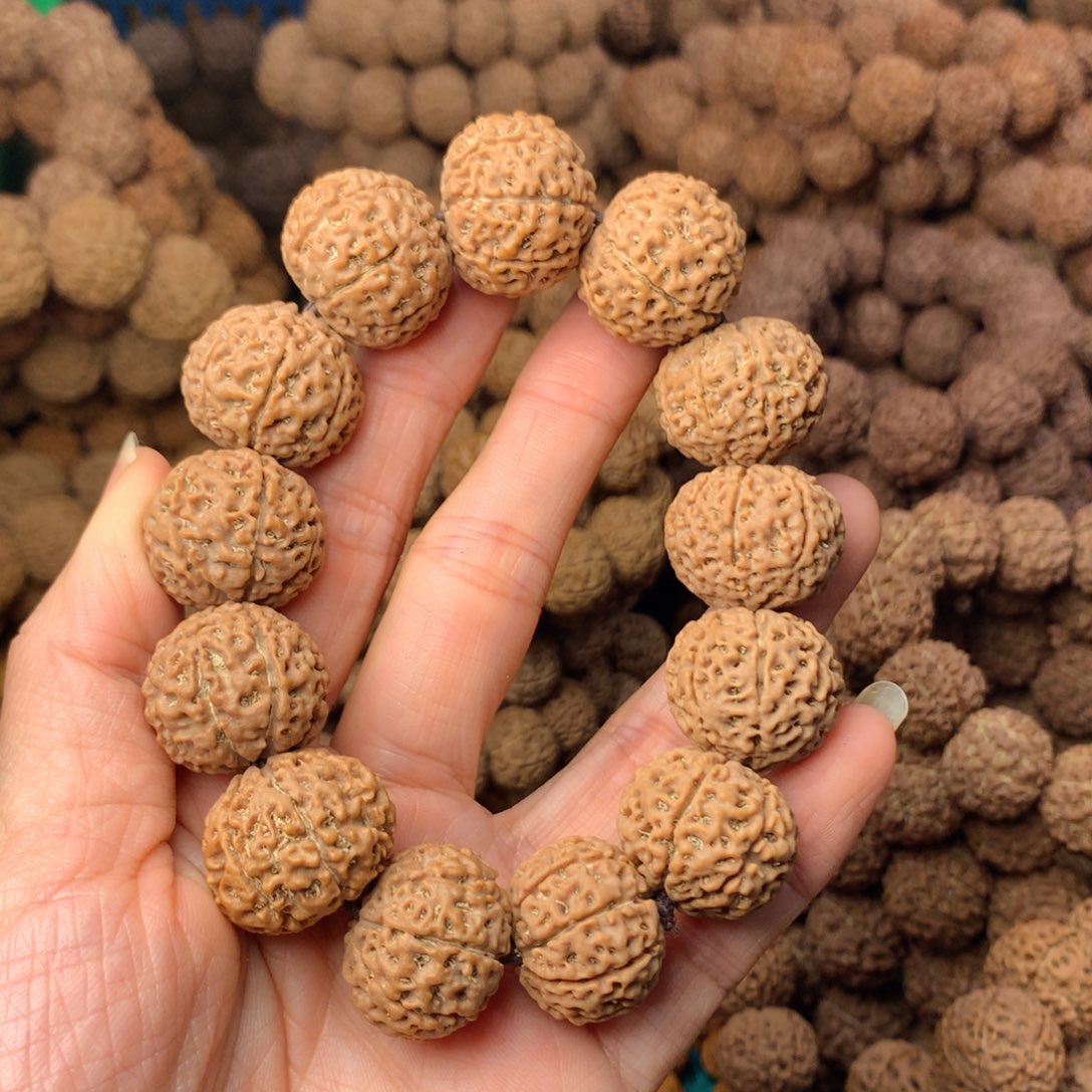 木8瓣金刚卡21尺寸，40号