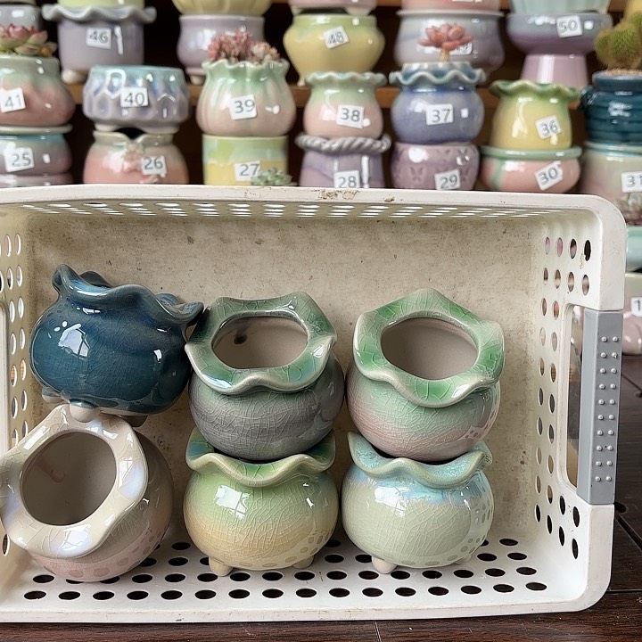 陶瓷量货/口4/6高5深浅搭配发6