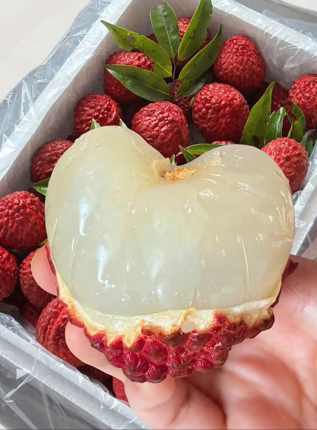 【坏果包赔】海南海口空运火山荔枝王2斤（泡沫箱）