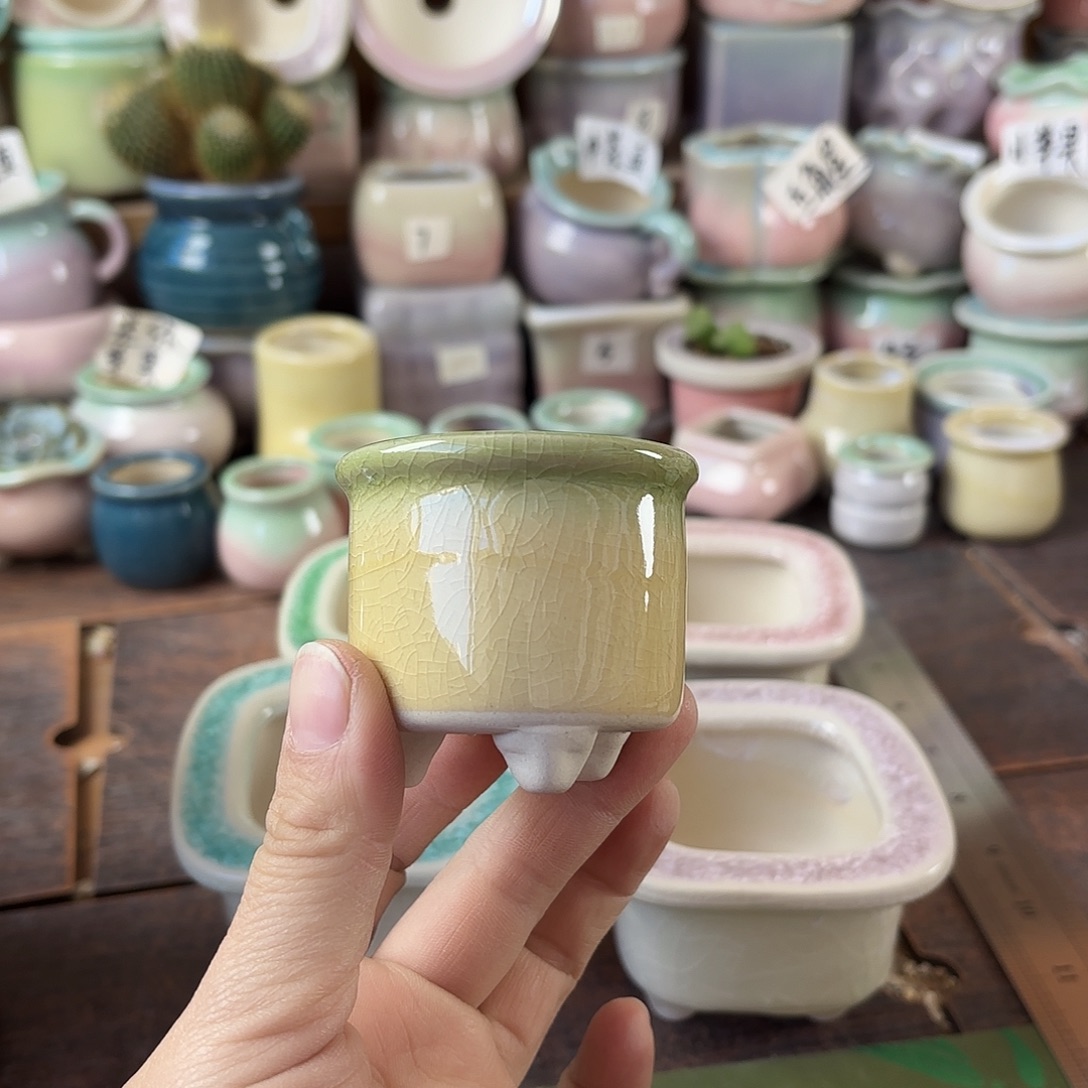 量货/口高深浅搭配发12