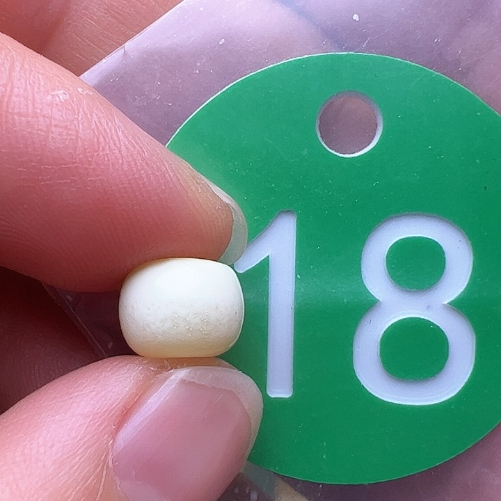 蜜蜡裸石未镶嵌8.8m m