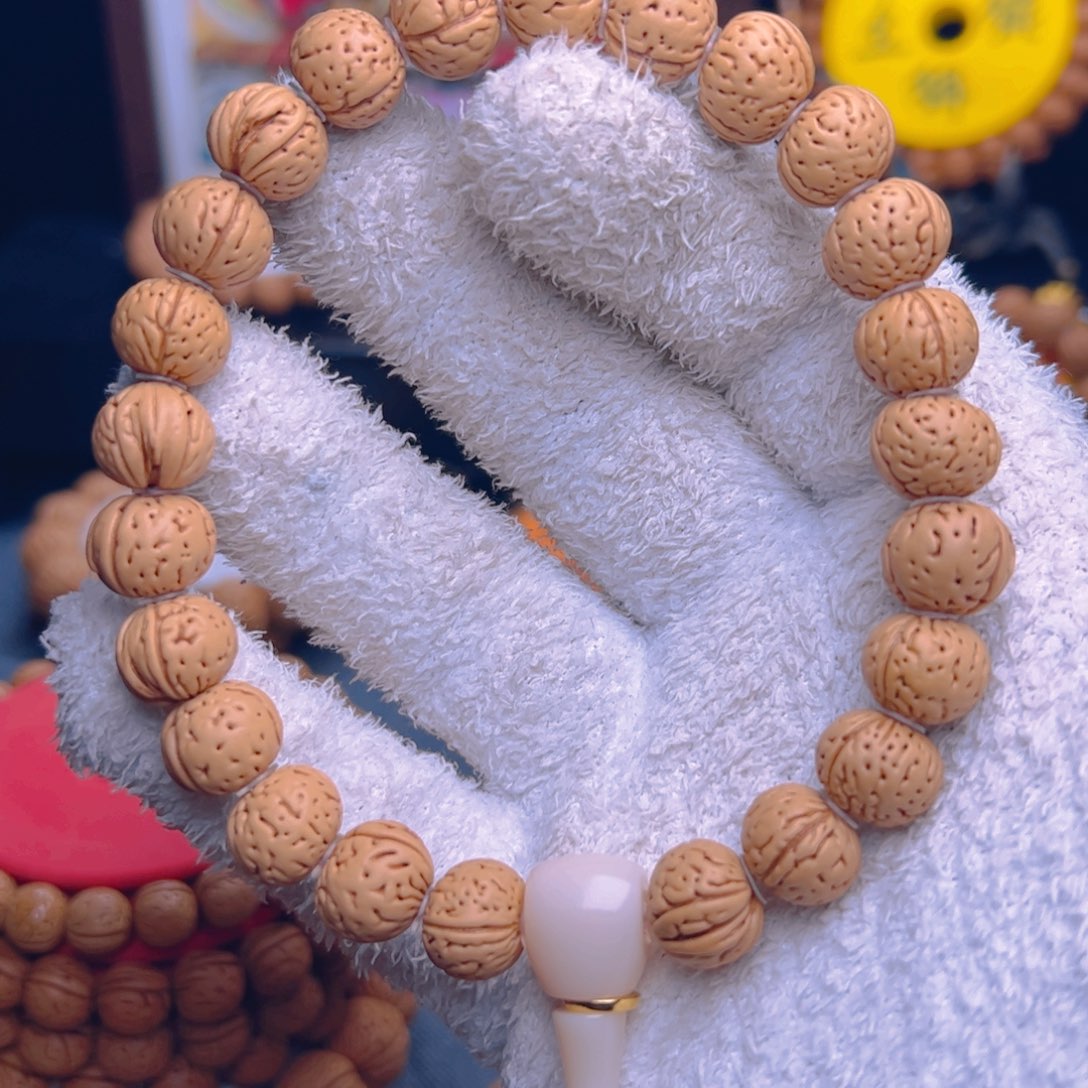 桃核手串1.2矮桩无修象拔蚌