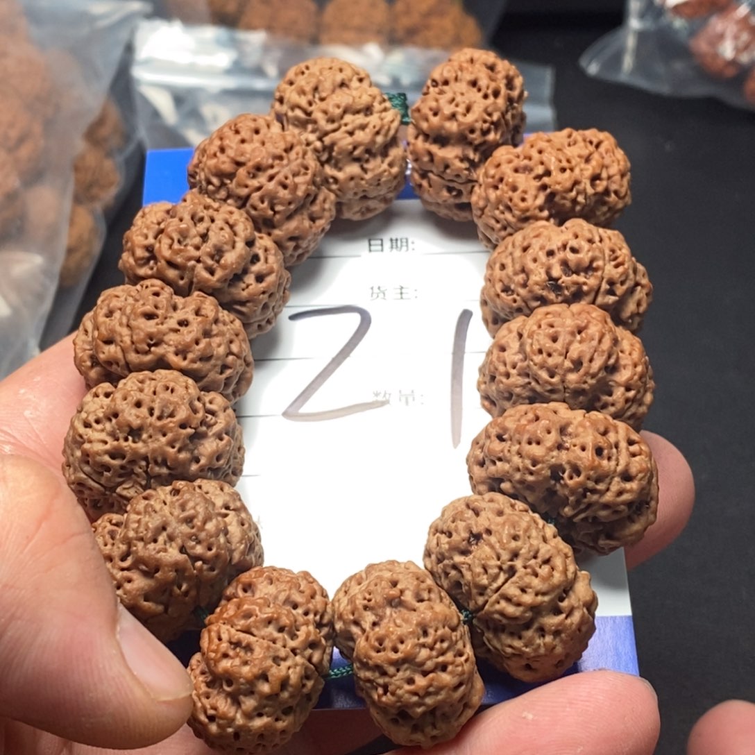 用***拾金刚菩提手串21号大金刚