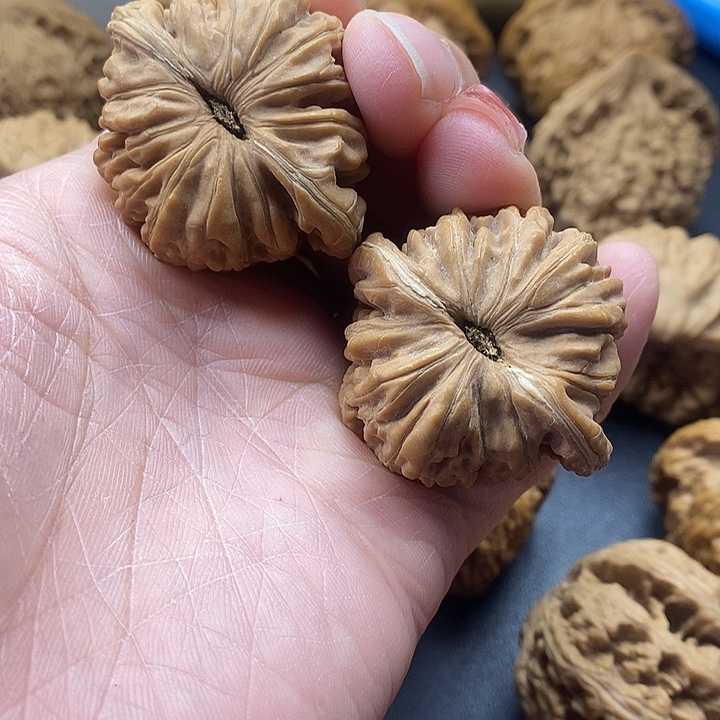 吊坠龙脊菩提楼42