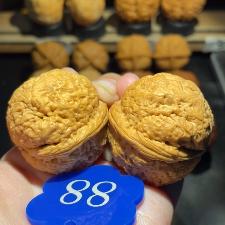 帝王蟾39尺寸核桃