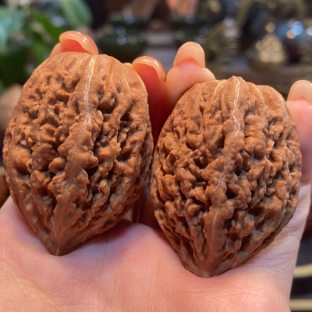 文玩核桃吊坠飞天蚂蚁34