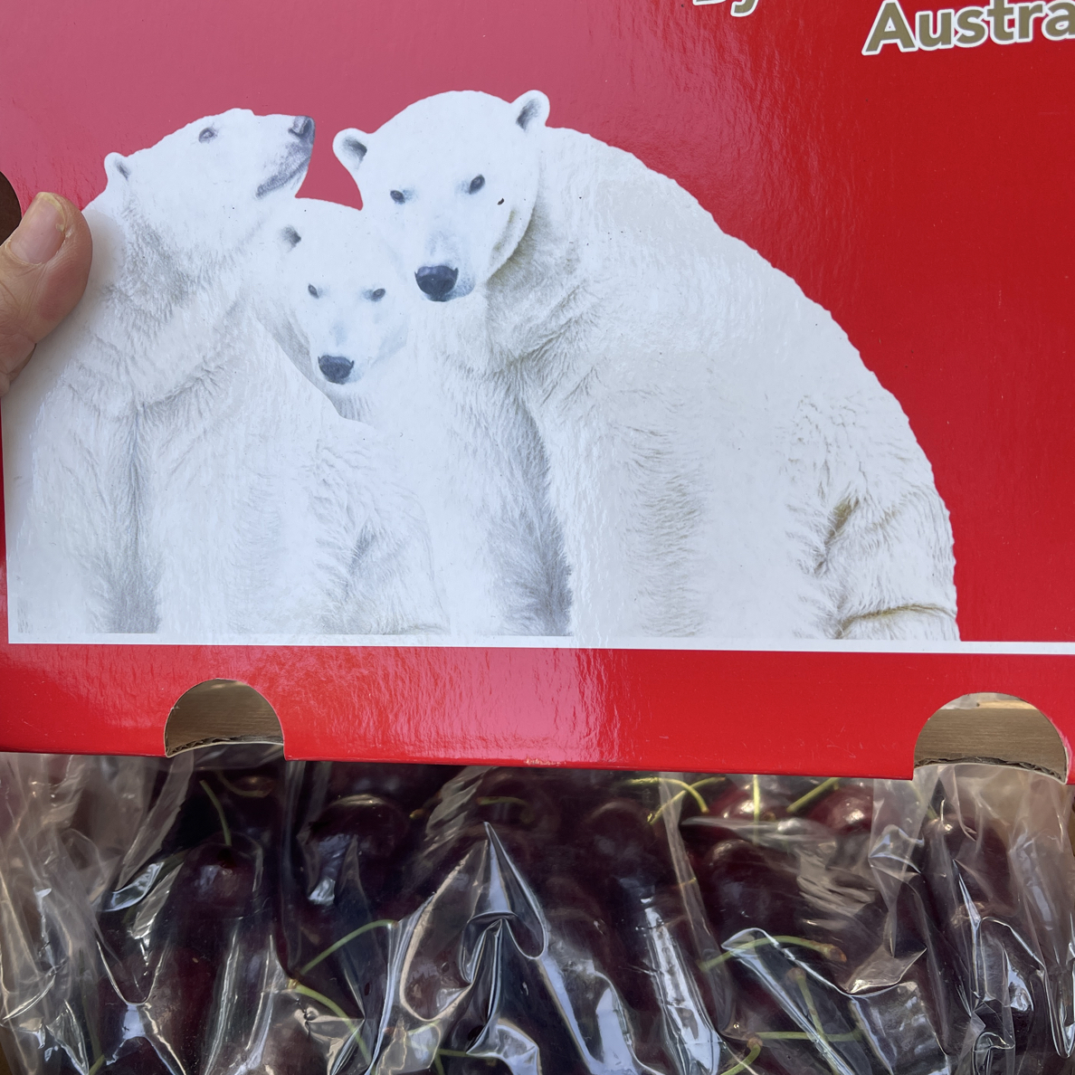  车厘子3JD1～5斤装桑提娜，黑脆甜，多汁。2合1进口原外箱有标签.小箱无标介意勿拍。海运外包装随机桑提娜智利