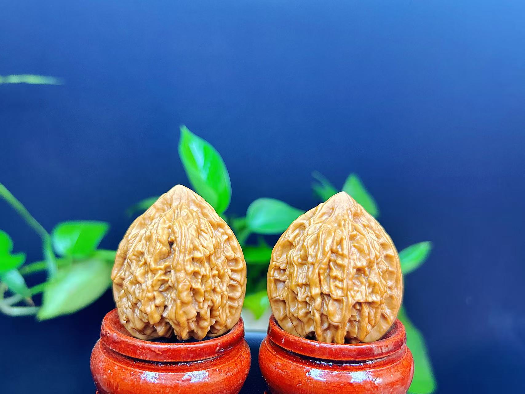 水泉沟公子帽文玩麻核桃