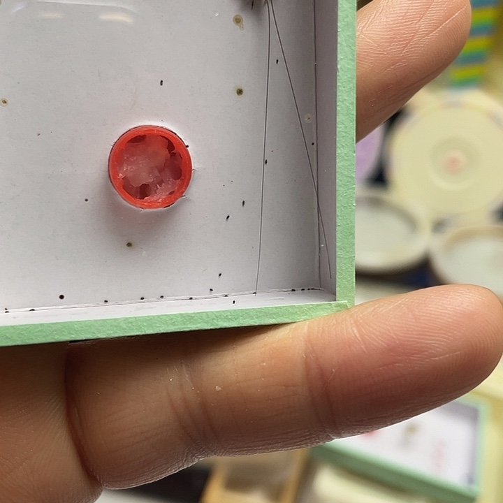 大***鹏大黄蛉+维修～啊啊啊啊