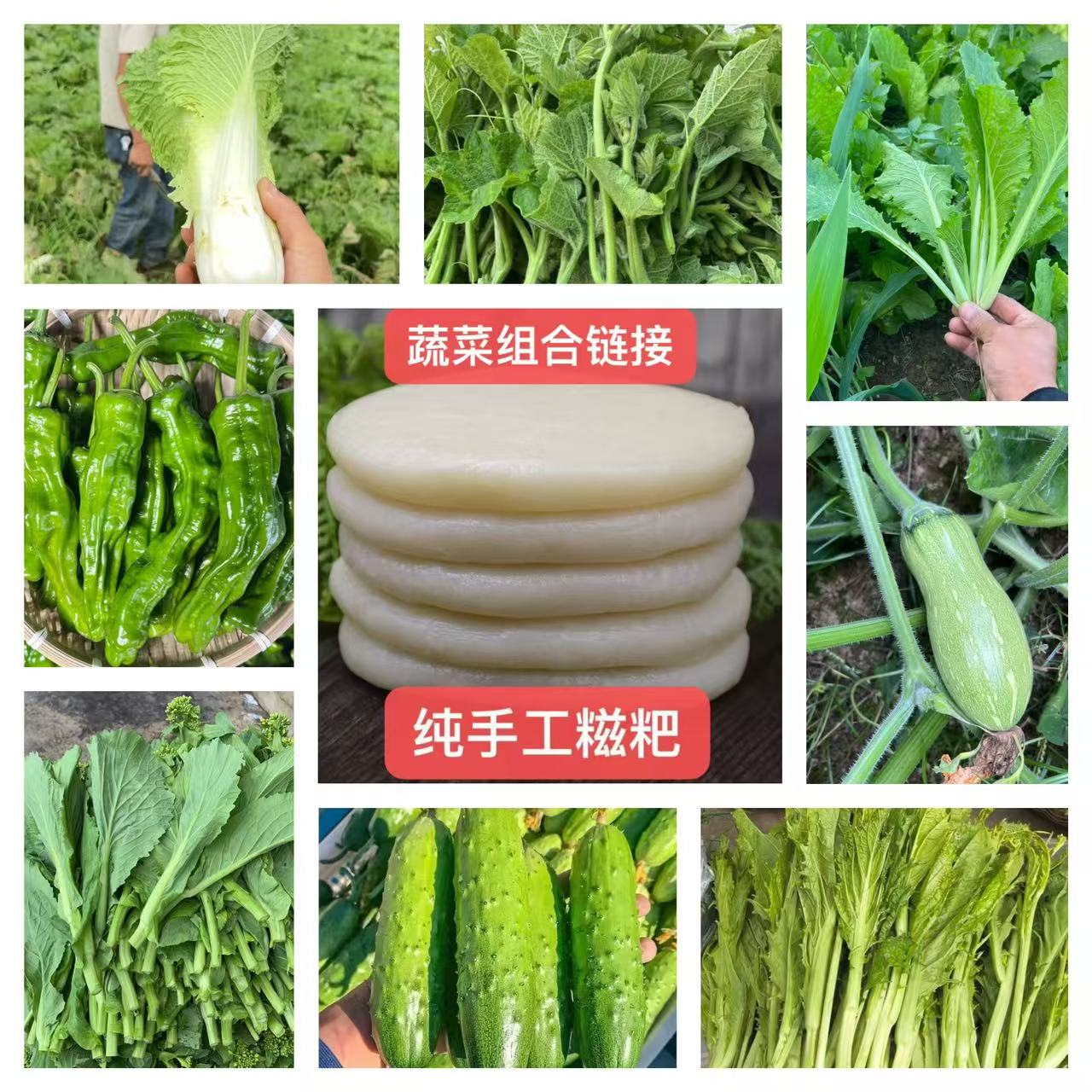 【应季蔬菜混装大礼包】贵州遵义露天种植新鲜现摘现发可自行备注