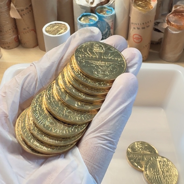 其他普通金属10枚，紫禁城币