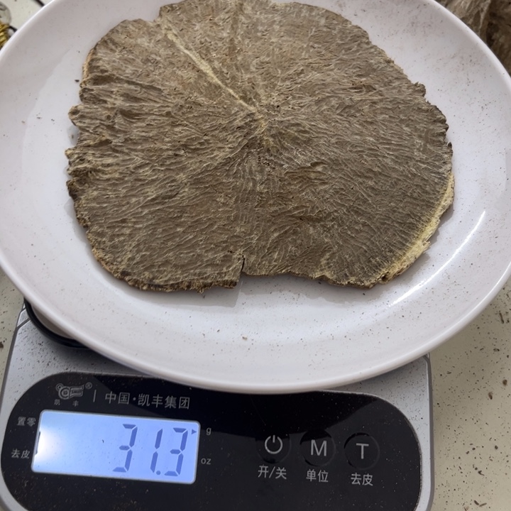 沉香沉香木制品海南沉香31克