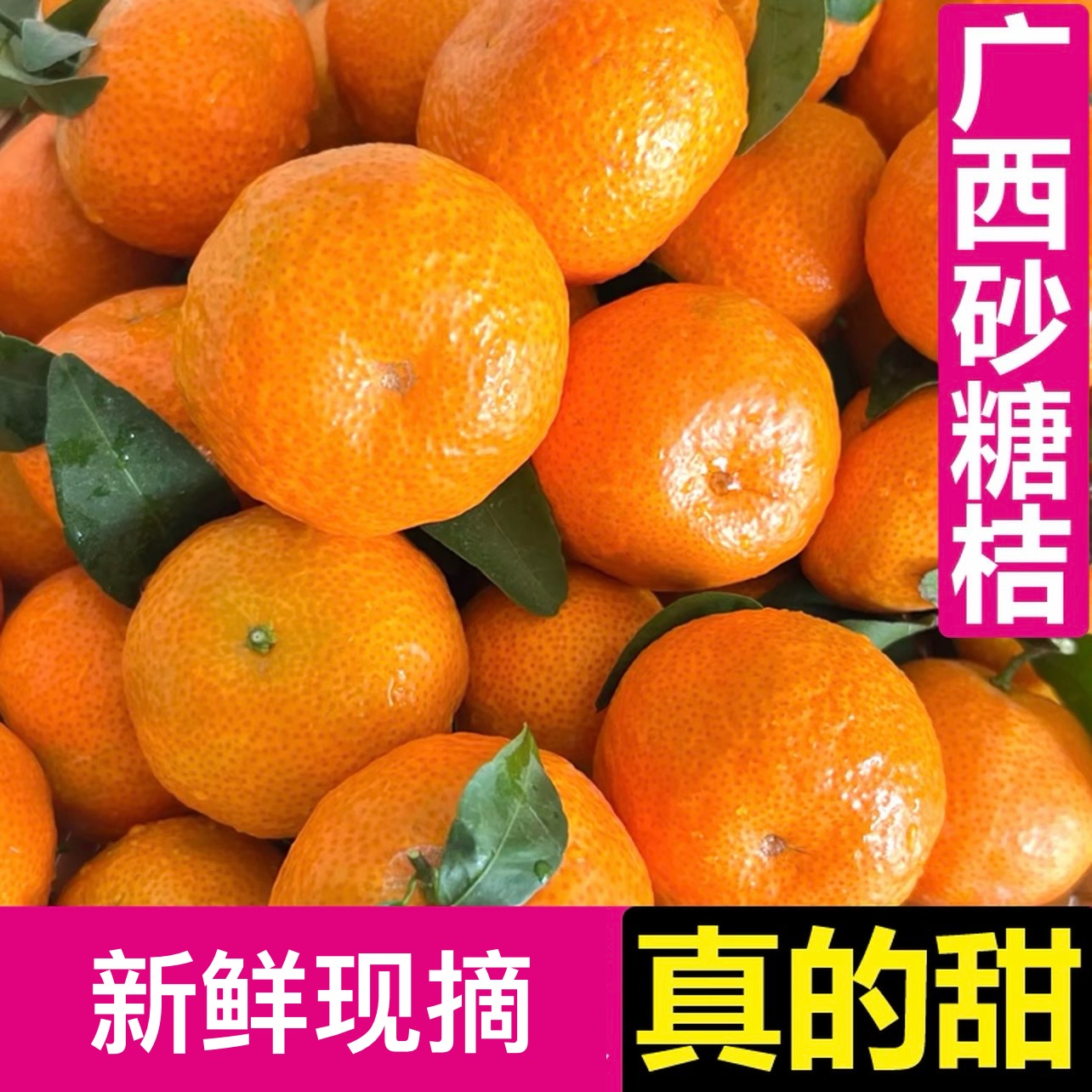 【产地溯源】正宗广西桂林砂糖橘新鲜应季水果皮薄多汁香甜爽口