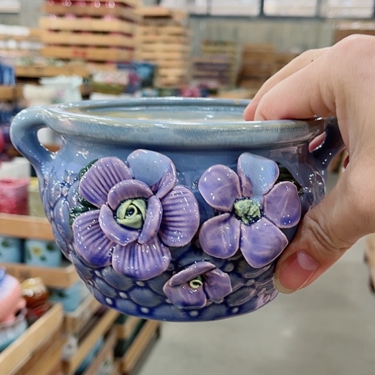 红陶直播间已有一年里