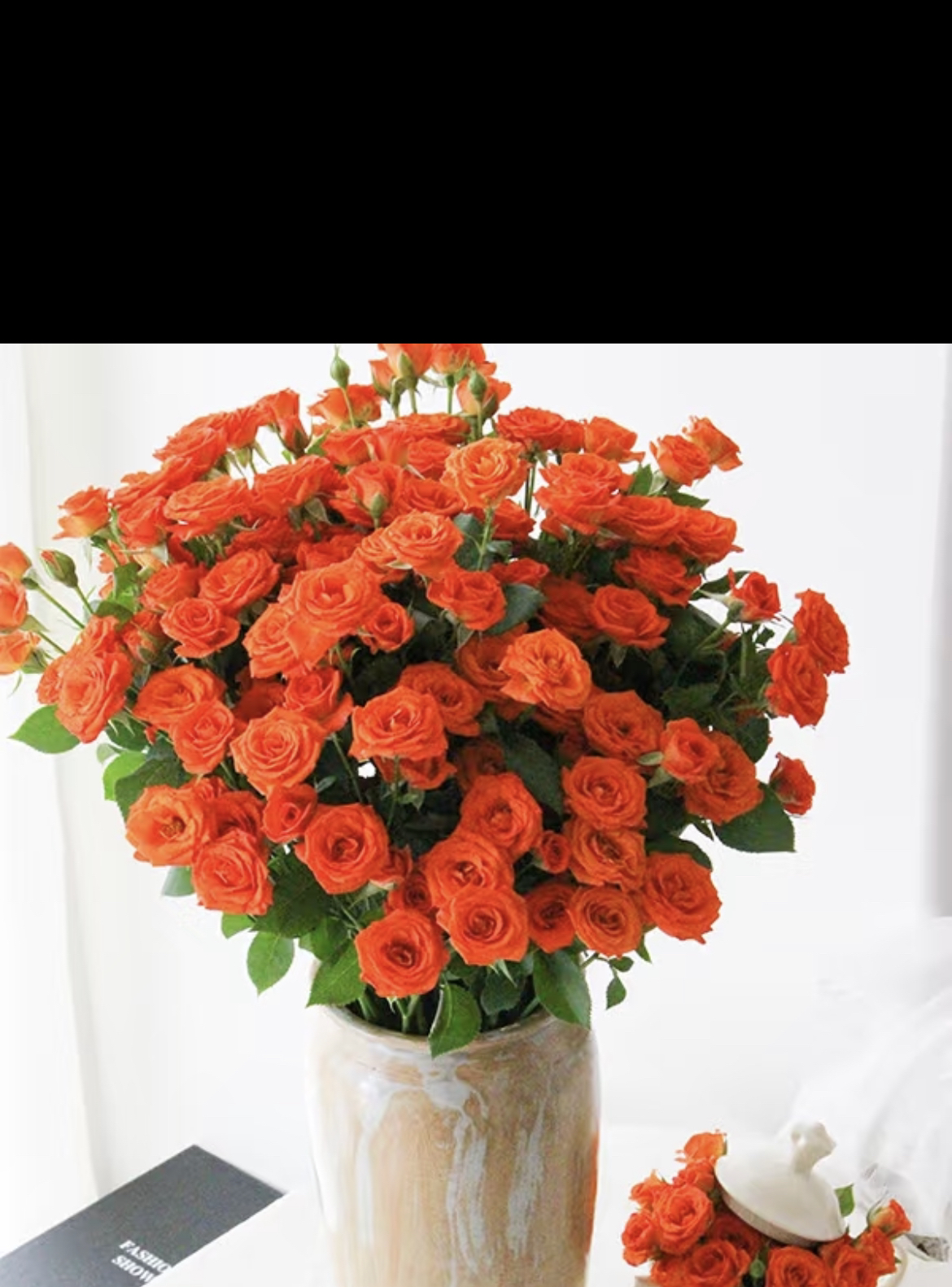 橙色芭比 多头玫瑰（云南基地直发）