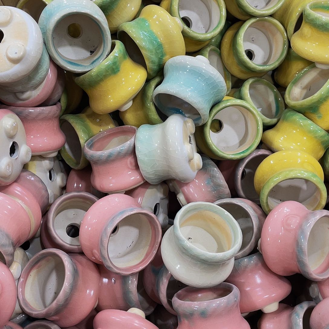 多肉花盆处理9.99包邮高5口5
