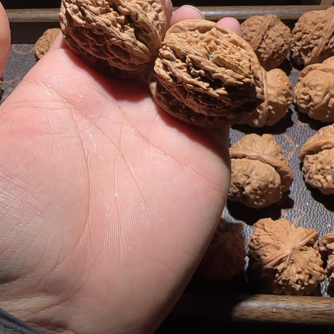 虎头 一刀未动 182818828