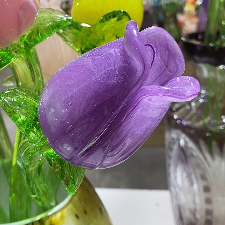 玫瑰花高45厘米左右