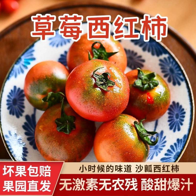 拍3斤送1斤净重4斤 顺丰明天到 东北碱地 草莓番茄 铁皮西红柿 生吃西红柿 酸酸甜甜番辽宁省