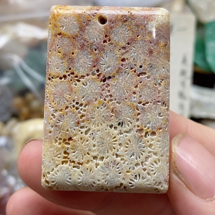 硅化珊瑚（珊瑚玉）未镶嵌颈饰骨骼