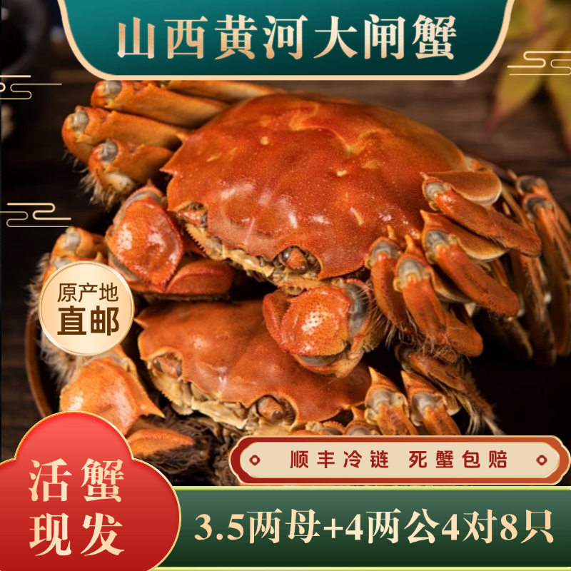  【活蟹】山西黄河大闸蟹4两公3.5两母蟹4对8只