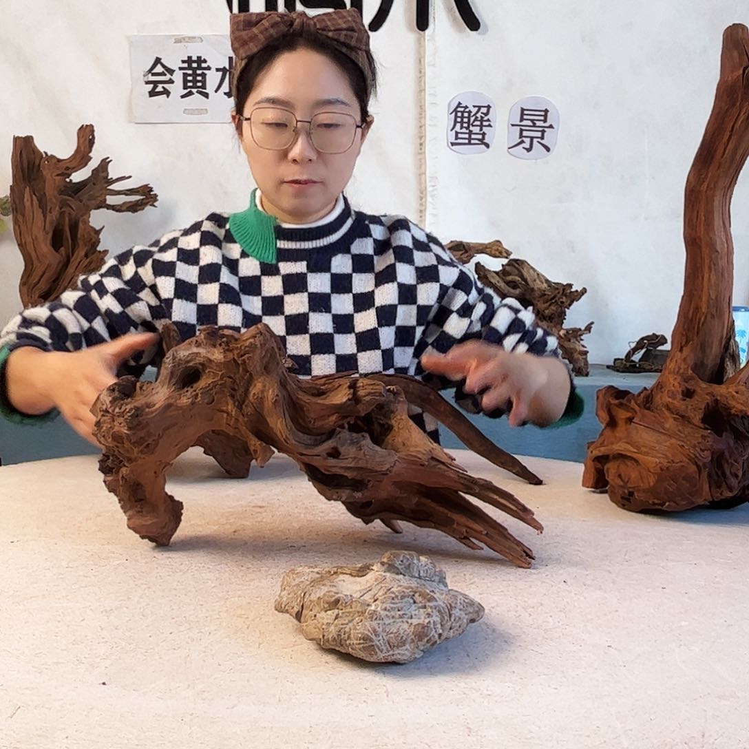 老*儿周末福利爬宠造景