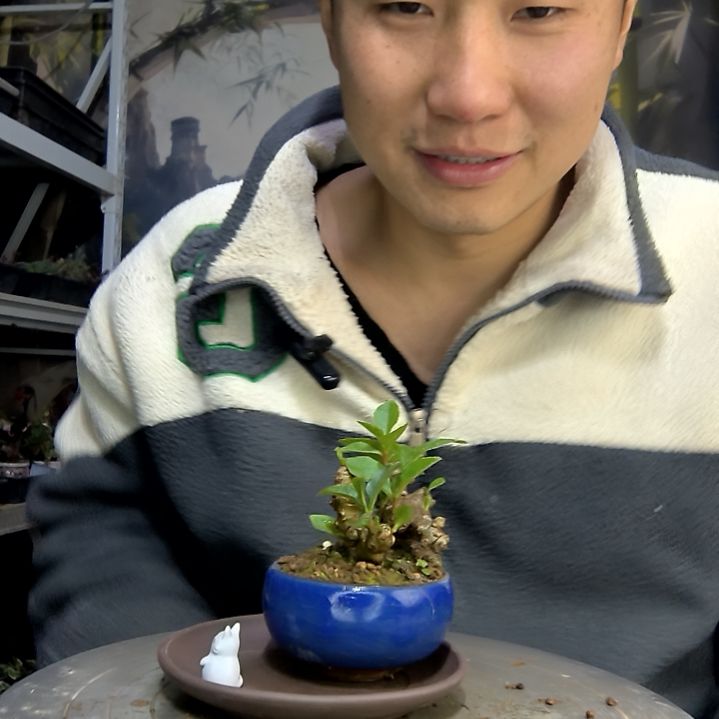 ****厂中青园艺一物一拍花92