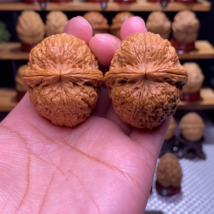 木质类云铁铁狮子115号