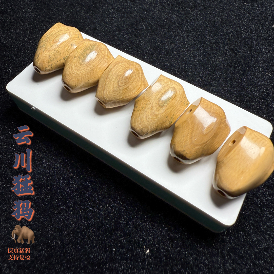 天然猛犸牙象牙咖料鲨鱼背三通对孔13+随机发