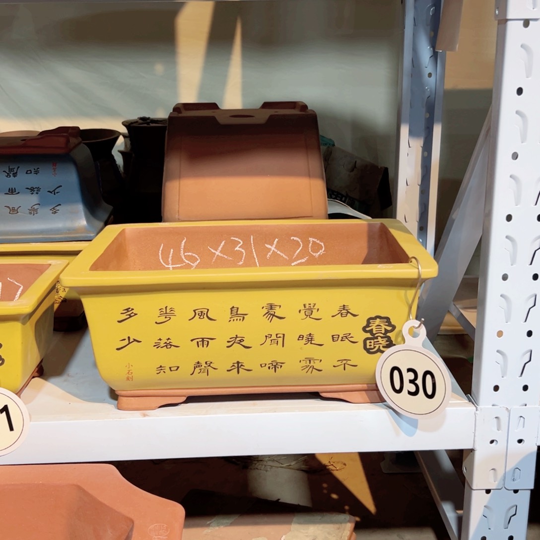 春晓马槽大号黄色一个