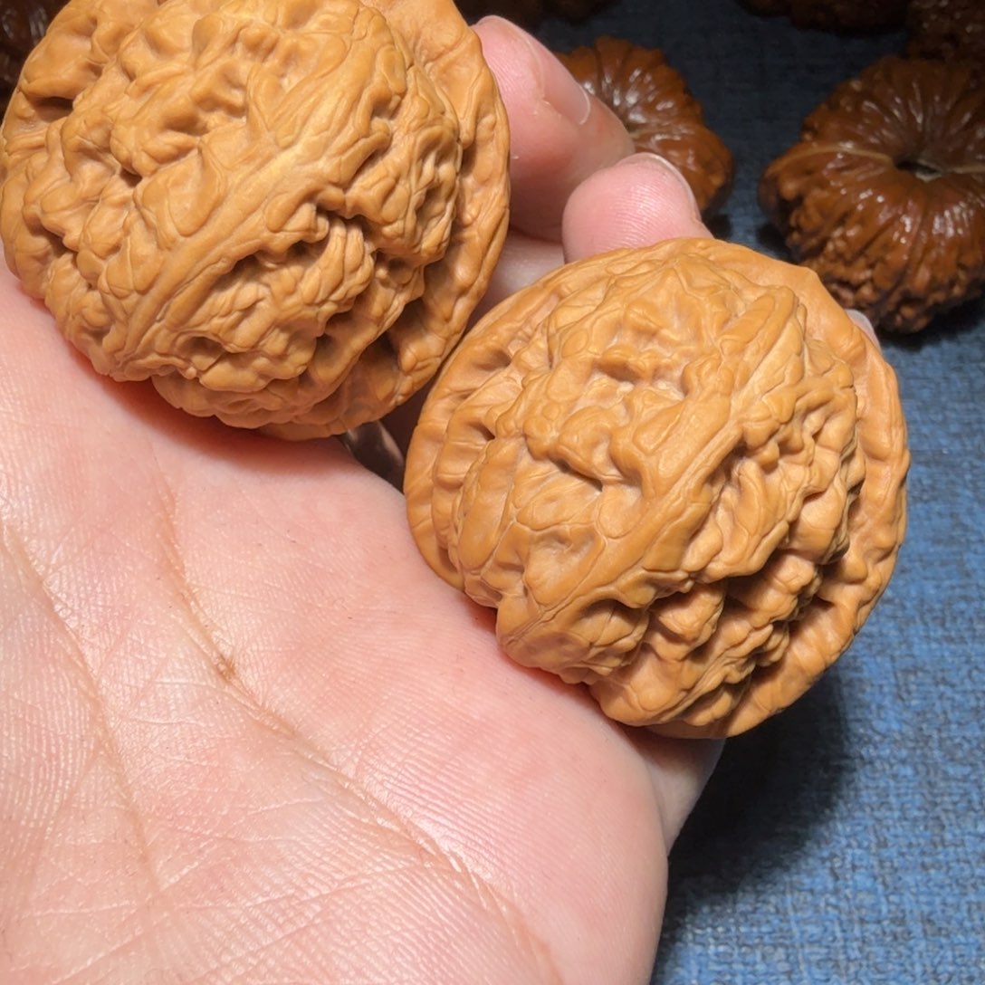 文玩核桃把件水*痕红锦鲤41尺寸208