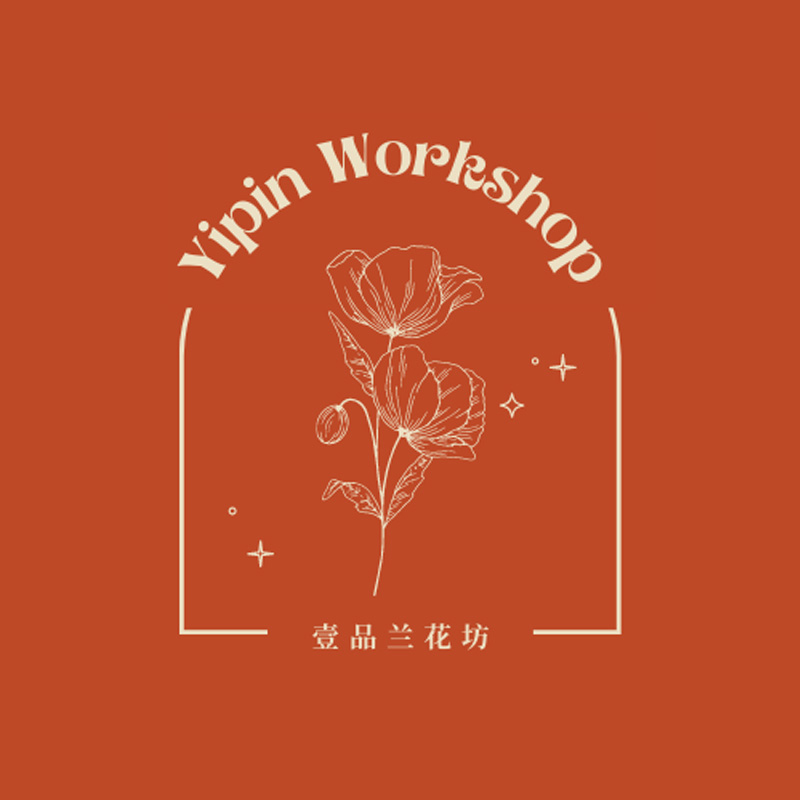 【蝴蝶兰福袋】鲜花蝴蝶兰 【随机花色】完全开放 不带花苞