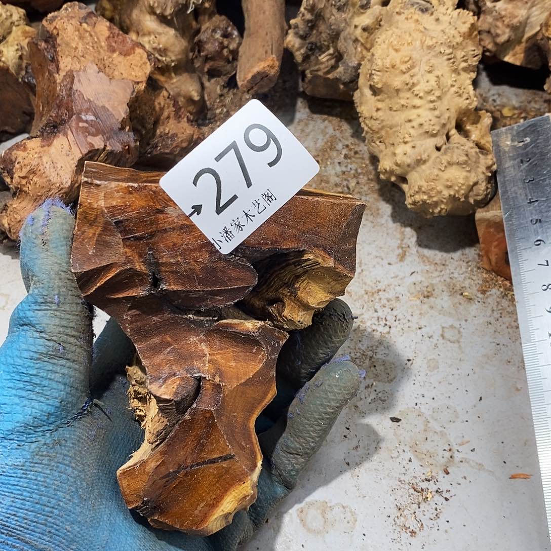 香榧木柏**霄麻梨疙瘩……