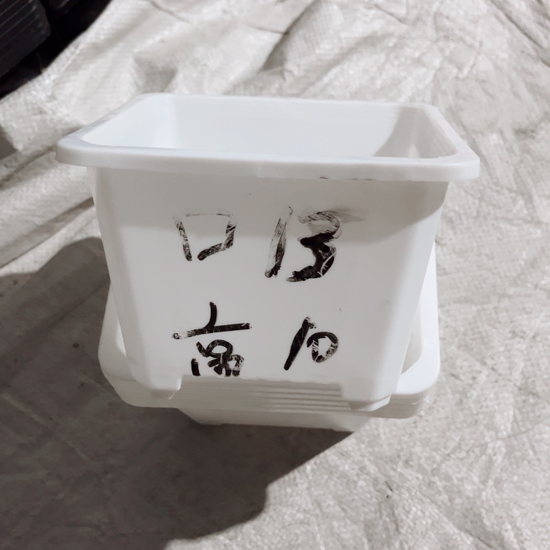 塑料福利款13方白色盆30个无托