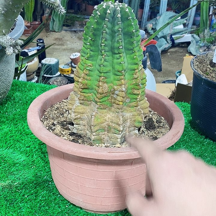 小**卜000000000000000000000