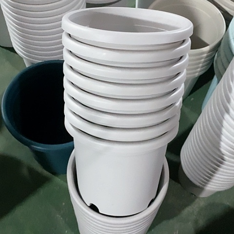 树脂微瑕3号10个无托灰白